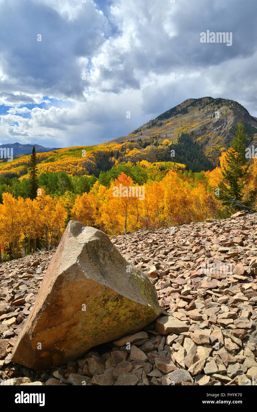 Farben des Herbstes entlang Wald Straße 730 am Ohio Pass in der Nähe von Crested Butte, Colorado Stockfoto