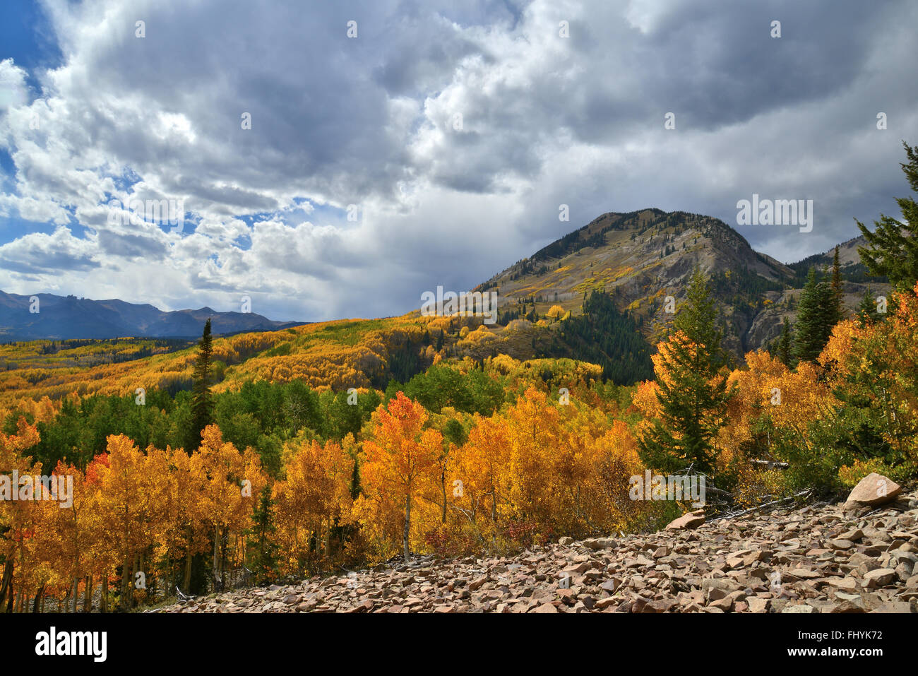 Farben des Herbstes entlang Wald Straße 730 am Ohio Pass in der Nähe von Crested Butte, Colorado Stockfoto