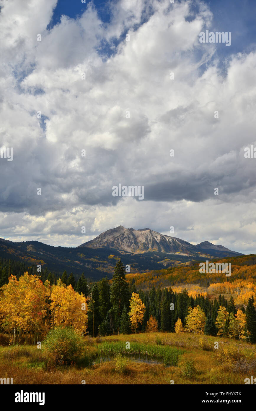 Farben des Herbstes am Kebler Pass westlich von Crested Butte, Colorado Stockfoto