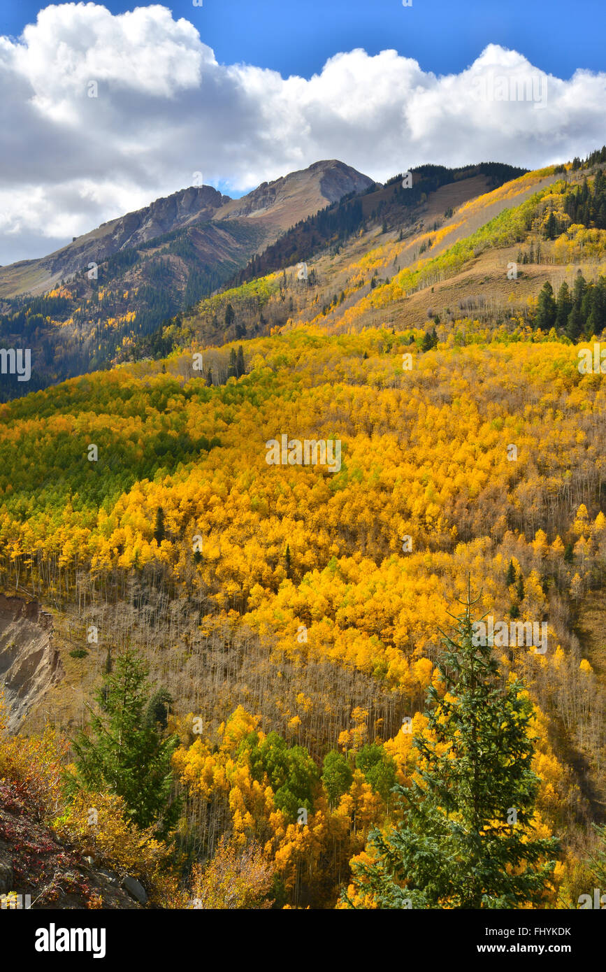 Herbstfarben kommt nach Colorado entlang HWY 145 südlich von Telluride, Colorado, aber nördlich von Lizard Kopf passieren. Stockfoto