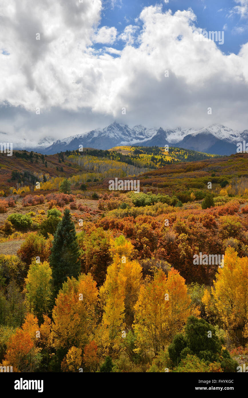 Herbstfarben kommt Dallas Teilen entlang HWY 62 westlich von Ridgway und Ouray Colorado. San-Juan-Gebirge im Hintergrund Stockfoto