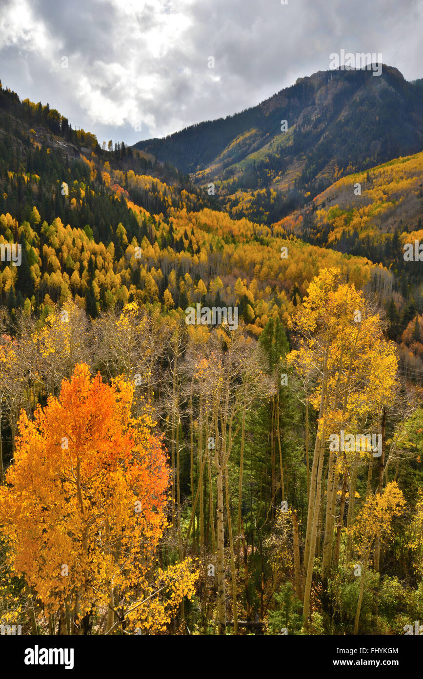 Herbstfarben kommt nach Colorado entlang HWY 145 südlich von Telluride, Colorado, aber nördlich von Lizard Kopf passieren. Stockfoto