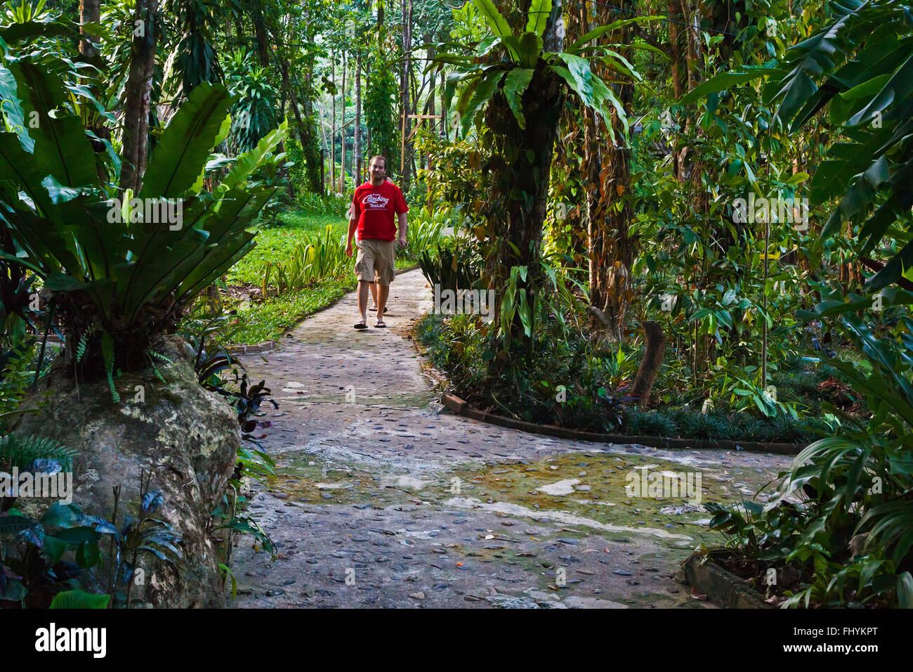 Genießen Sie die Dschungel-Einstellung in den RIVERSIDE COTTAGES in KHO SOK, ein perfekter Ort zu bleiben, um Kho Sok National Park - T zu besuchen Stockfoto