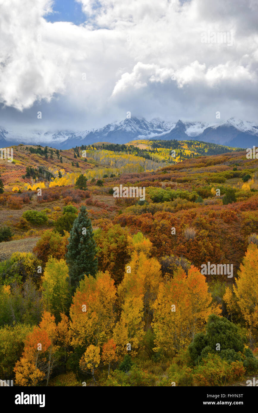 Herbstfarben kommt Dallas Teilen entlang HWY 62 westlich von Ridgway und Ouray Colorado. San-Juan-Gebirge im Hintergrund Stockfoto