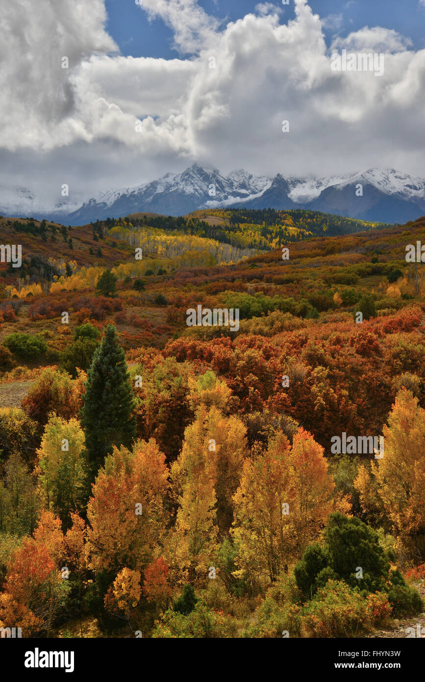 Herbstfarben kommt Dallas Teilen entlang HWY 62 westlich von Ridgway und Ouray Colorado. San-Juan-Gebirge im Hintergrund Stockfoto