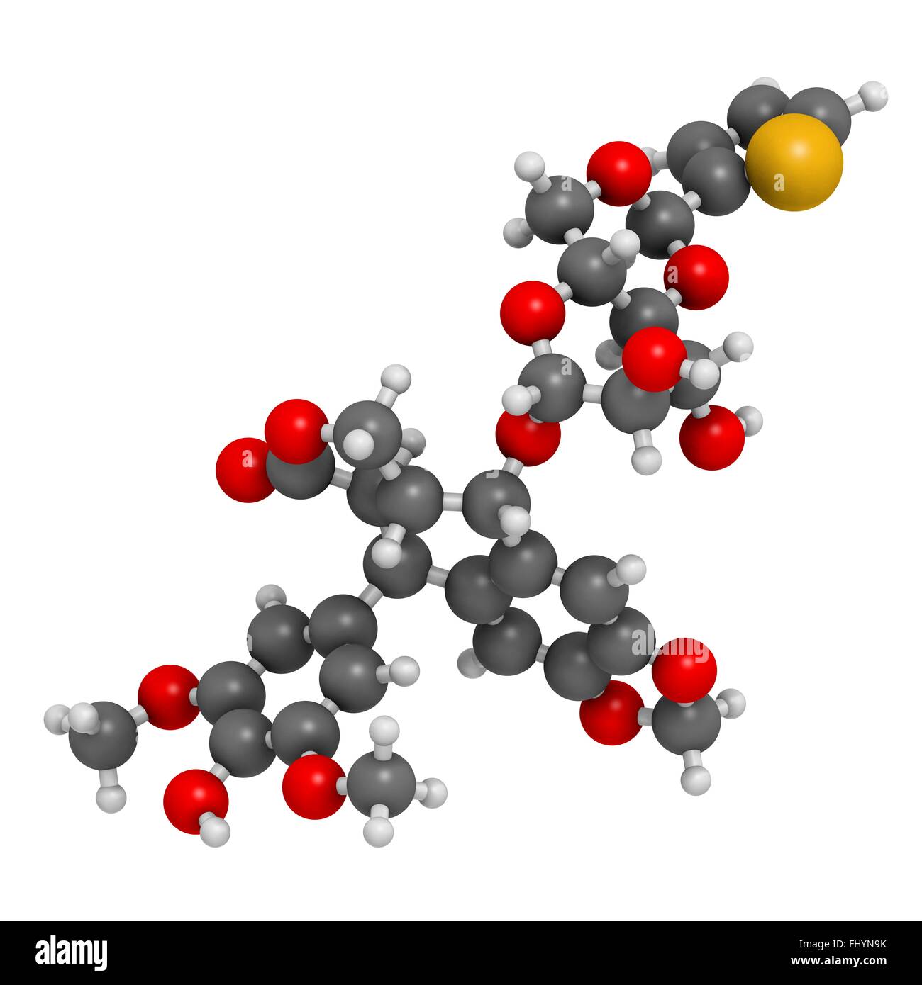 Teniposide Krebsmedikament Molekül (Topoisomerase-II-Hemmer) Atome als Kugeln dargestellt werden und sind farblich markiert: Wasserstoff Stockfoto
