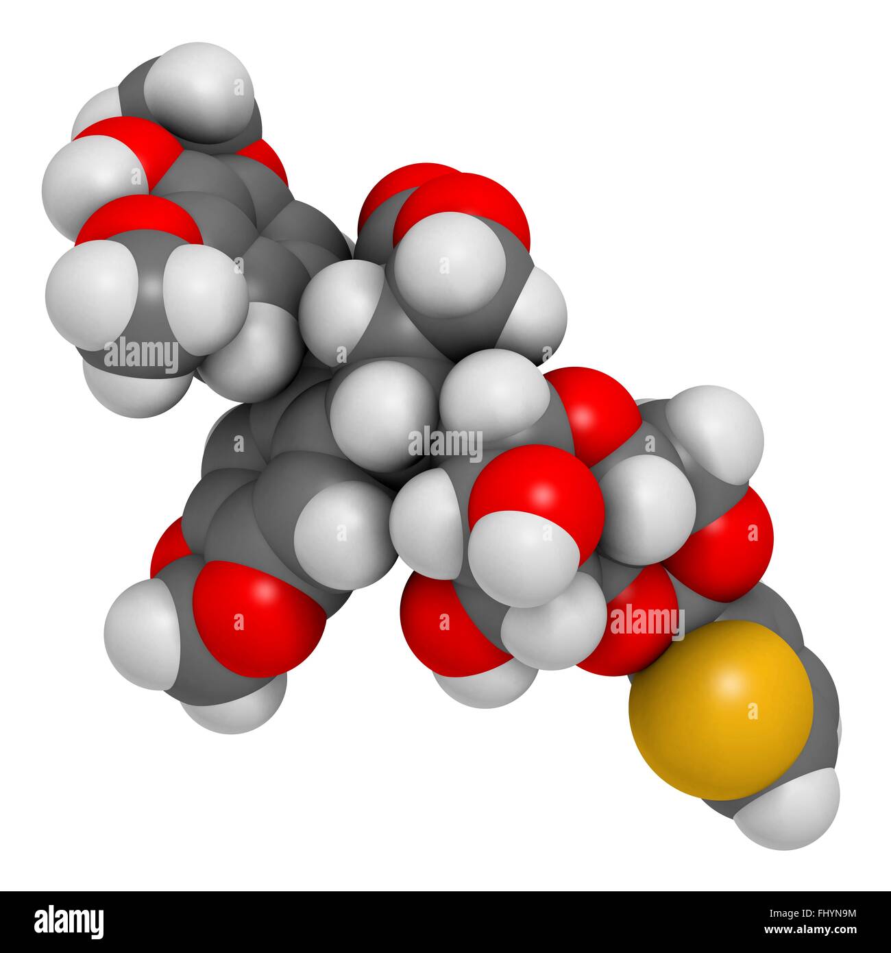 Teniposide Krebsmedikament Molekül (Topoisomerase-II-Hemmer) Atome als Kugeln dargestellt werden und sind farblich markiert: Wasserstoff Stockfoto