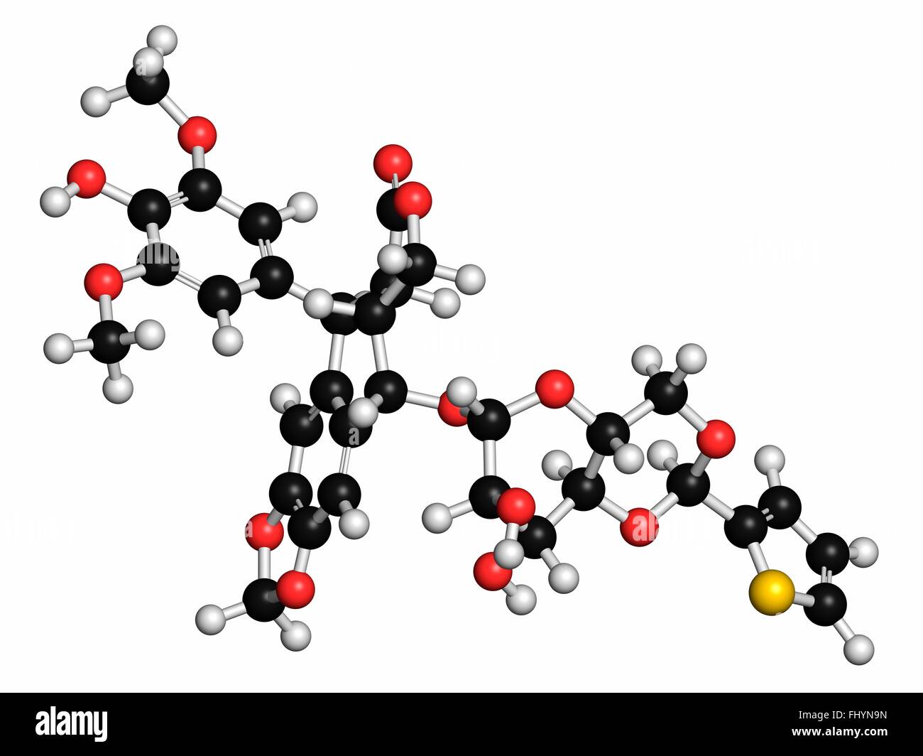 Teniposide Krebsmedikament Molekül (Topoisomerase-II-Hemmer) Atome als Kugeln dargestellt werden und sind farblich markiert: Wasserstoff Stockfoto