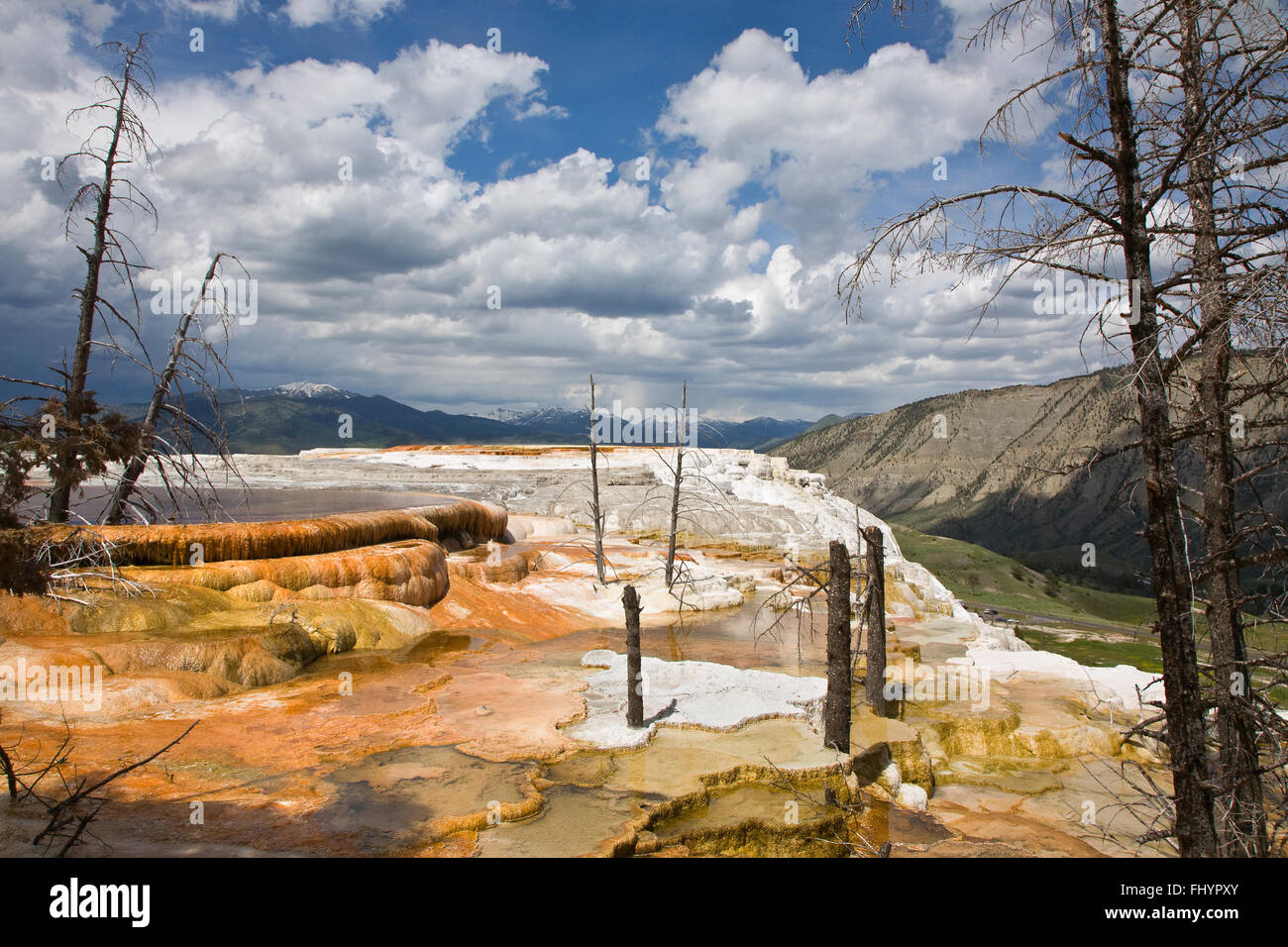 MAMMOTH HOT SPRING Terrassen sind ein wunderbares Beispiel der vulkanischen thermische Eigenschaften - YELLOWSTONE-Nationalpark, WYOMING Stockfoto