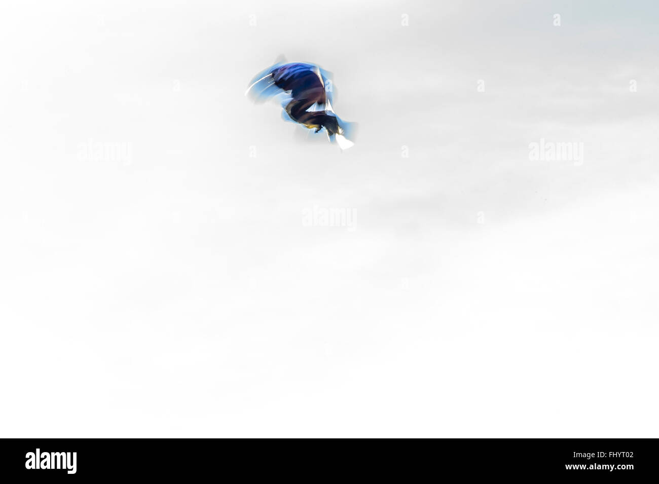 Oslo, Norwegen. 26. Februar 2016 kam 2016 Winter X Games in Oslo, in diesem Jahr bringt Sportler aus allen Teilen der Welt in die norwegische Stadt. Die Veranstaltung konzentriert sich auf Wintersportarten wie Skifahren und Snowboarden.  Während die Männer Snowboard Big Air abgebildet heizt ist Kyle Mac. Matthew James / Alamy Live News Stockfoto