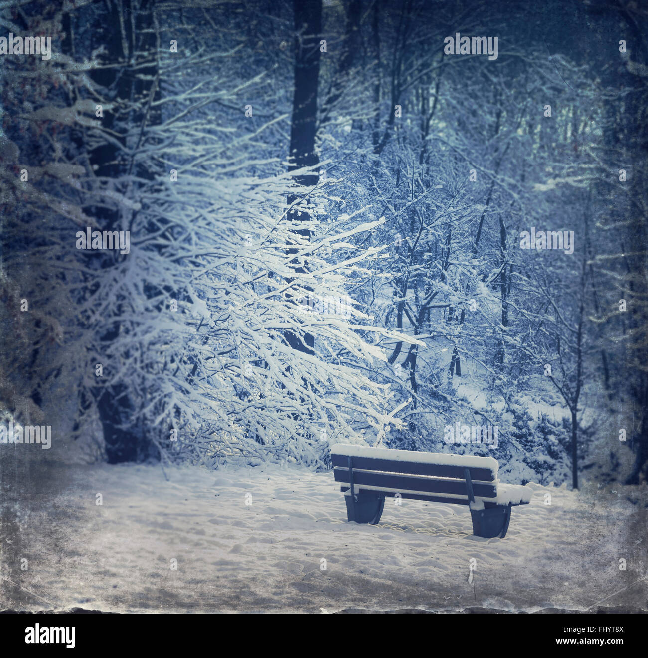 Deutschland, leere Bank im Winterwald Stockfoto