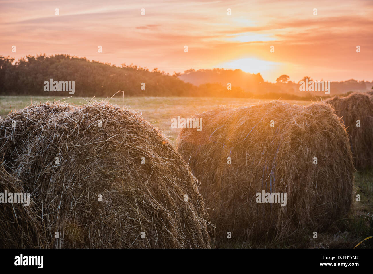Ernte Konzept Heuhaufen auf Sonnenuntergang Feld, Bretagne, Frankreich Stockfoto