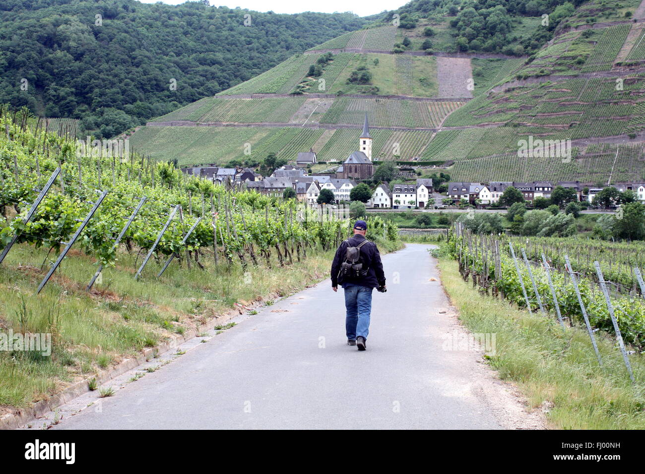 Touristen gehen Trog die Weinberge an der Mosel. Deutschland Stockfoto