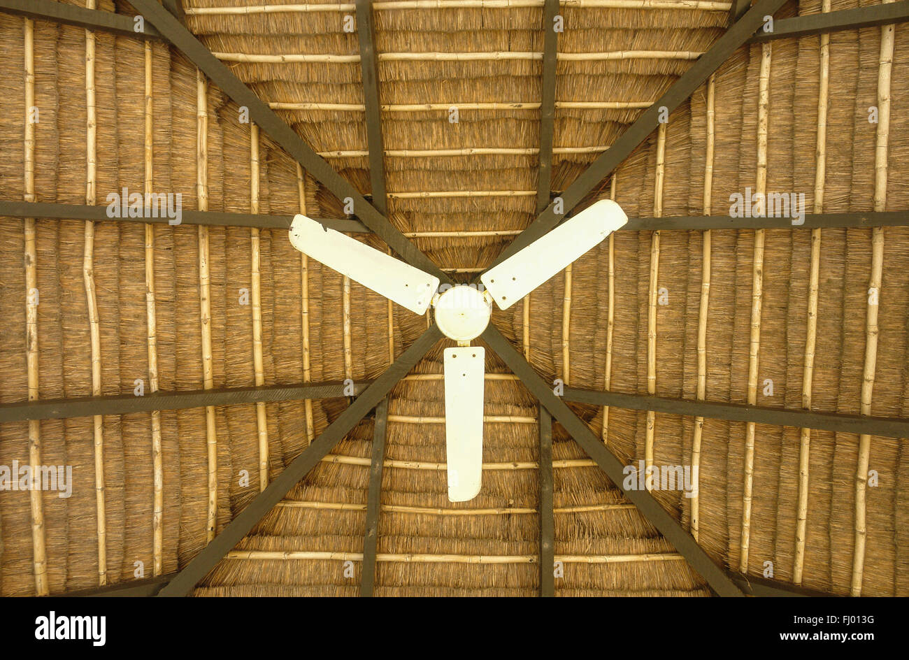 Ventilator an der Decke Stroh Stockfoto