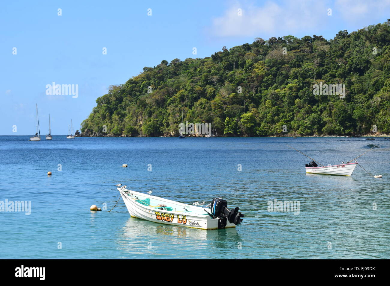 Angelboote/Fischerboote in Pirates Bay, Charlotteville, Tobago Stockfoto