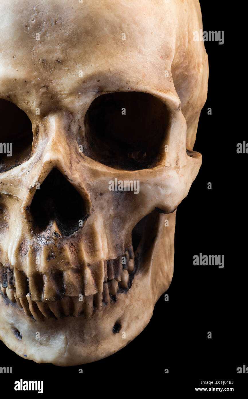 Menschlicher Schädel auf schwarzem Hintergrund Stockfoto