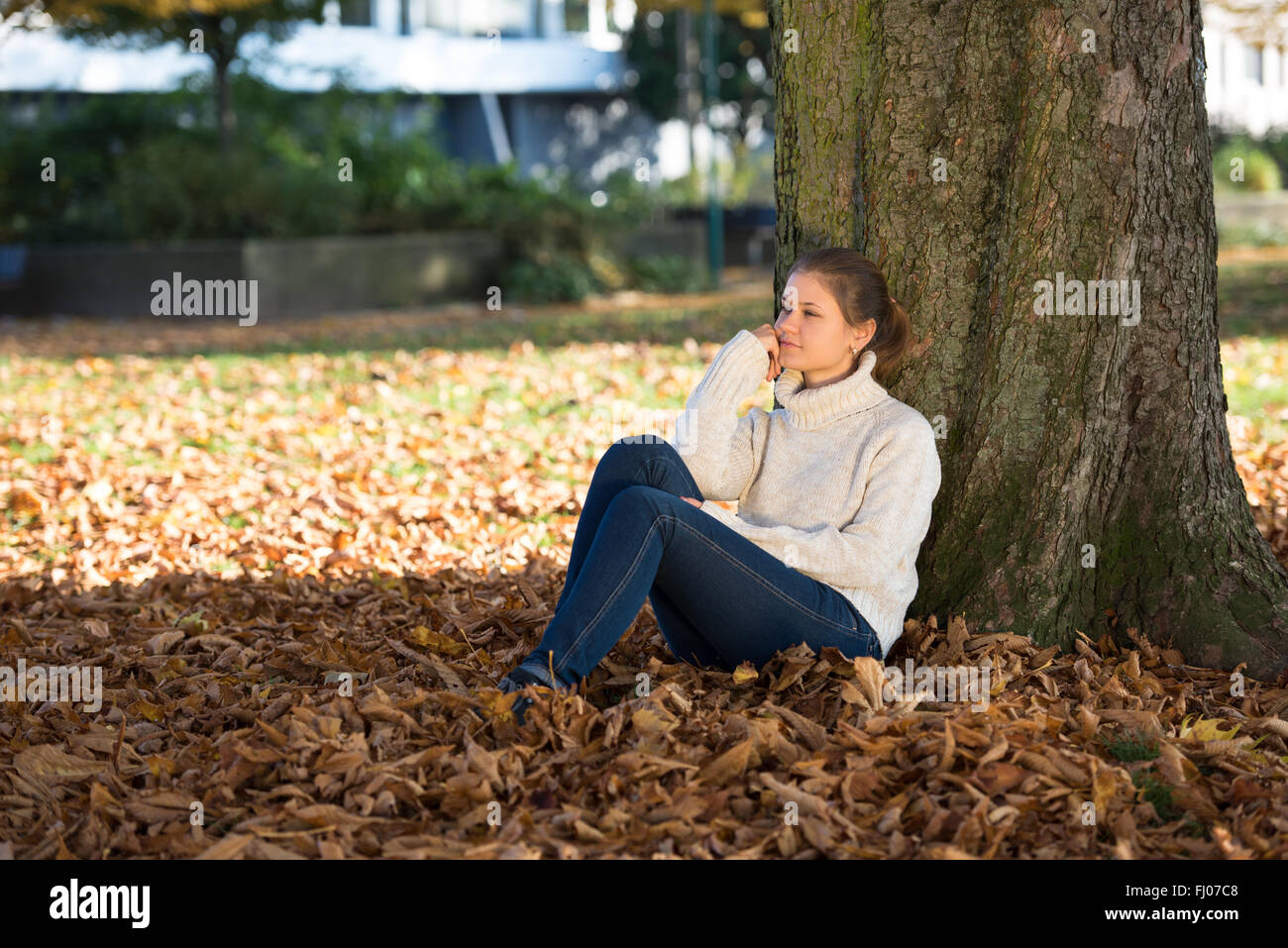 junge Frau im Herbst Park sitzen in der Nähe von Baum Stockfoto