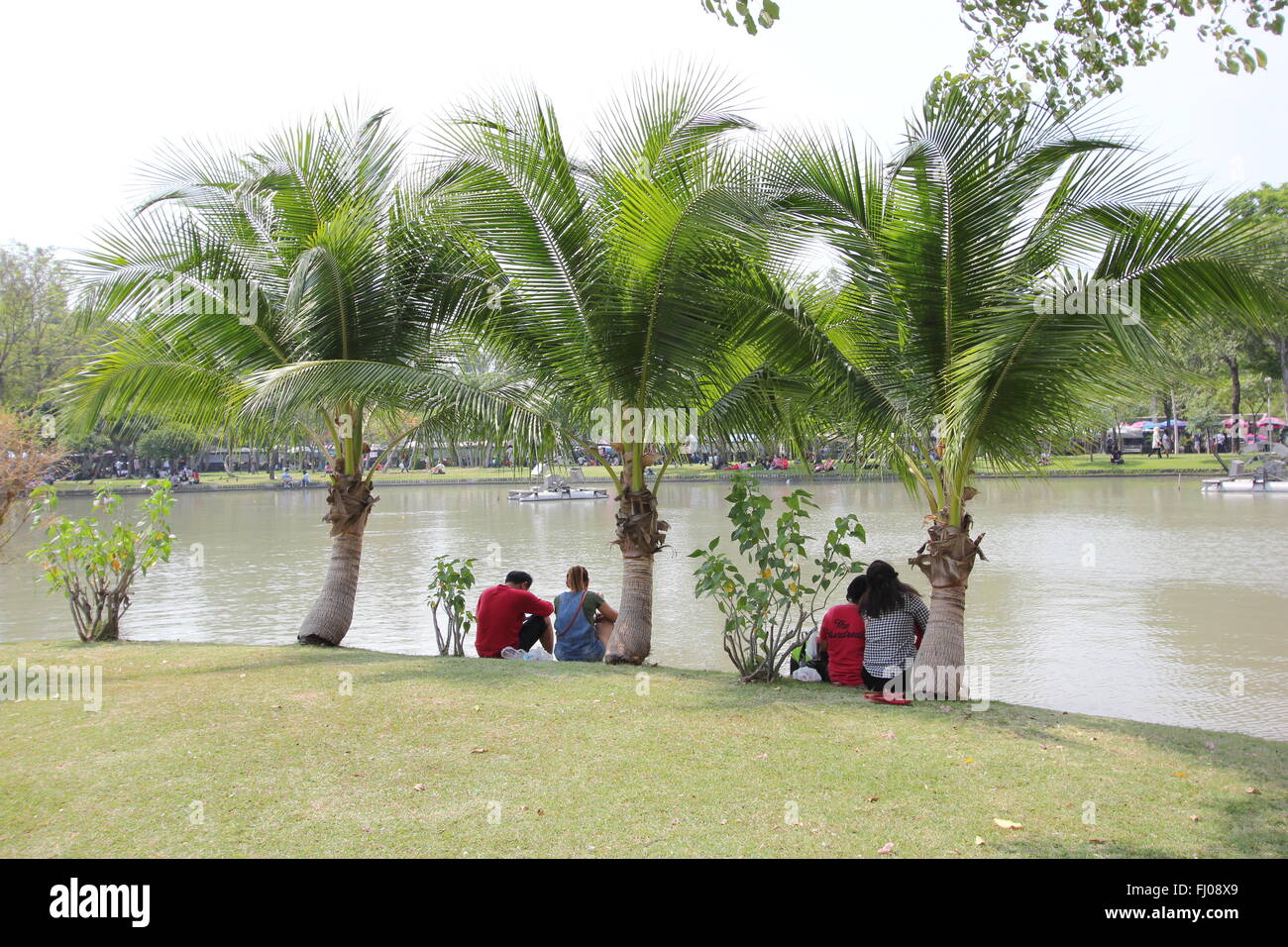 Paare sitzen unter Palmen in Chatuchak Park, Bangkok, Thailand Stockfoto