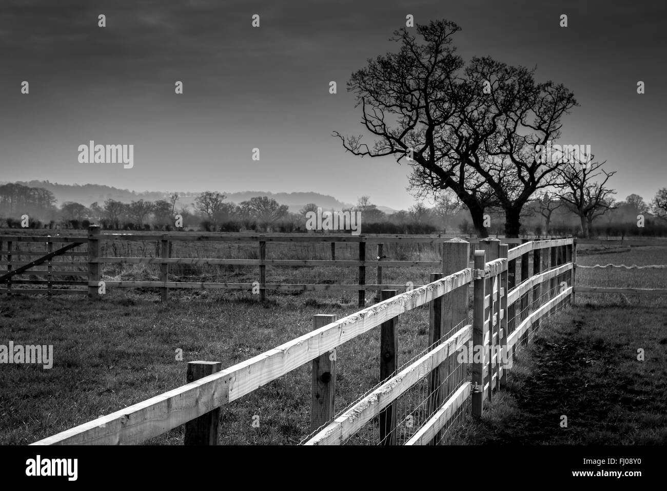 Landschaft von Cheshire in schwarz / weiß Stockfoto