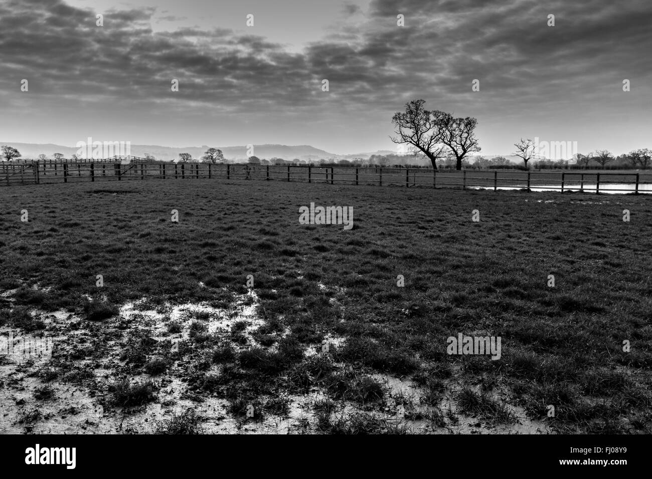 Landschaft von Cheshire in schwarz / weiß Stockfoto