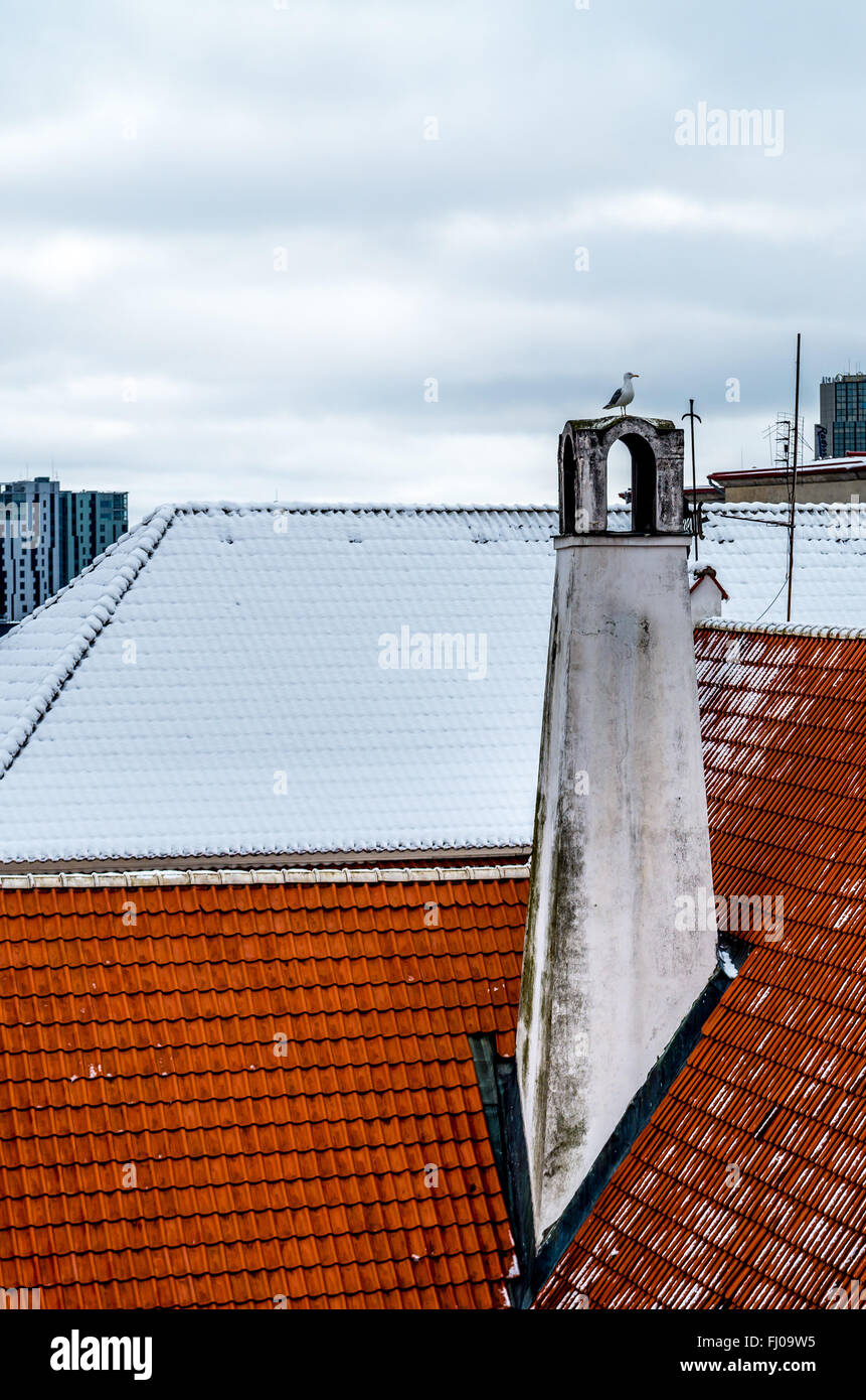 Möwe sitzt auf alten Schornstein am roten Dach mit Stadtansicht im Hintergrund Stockfoto