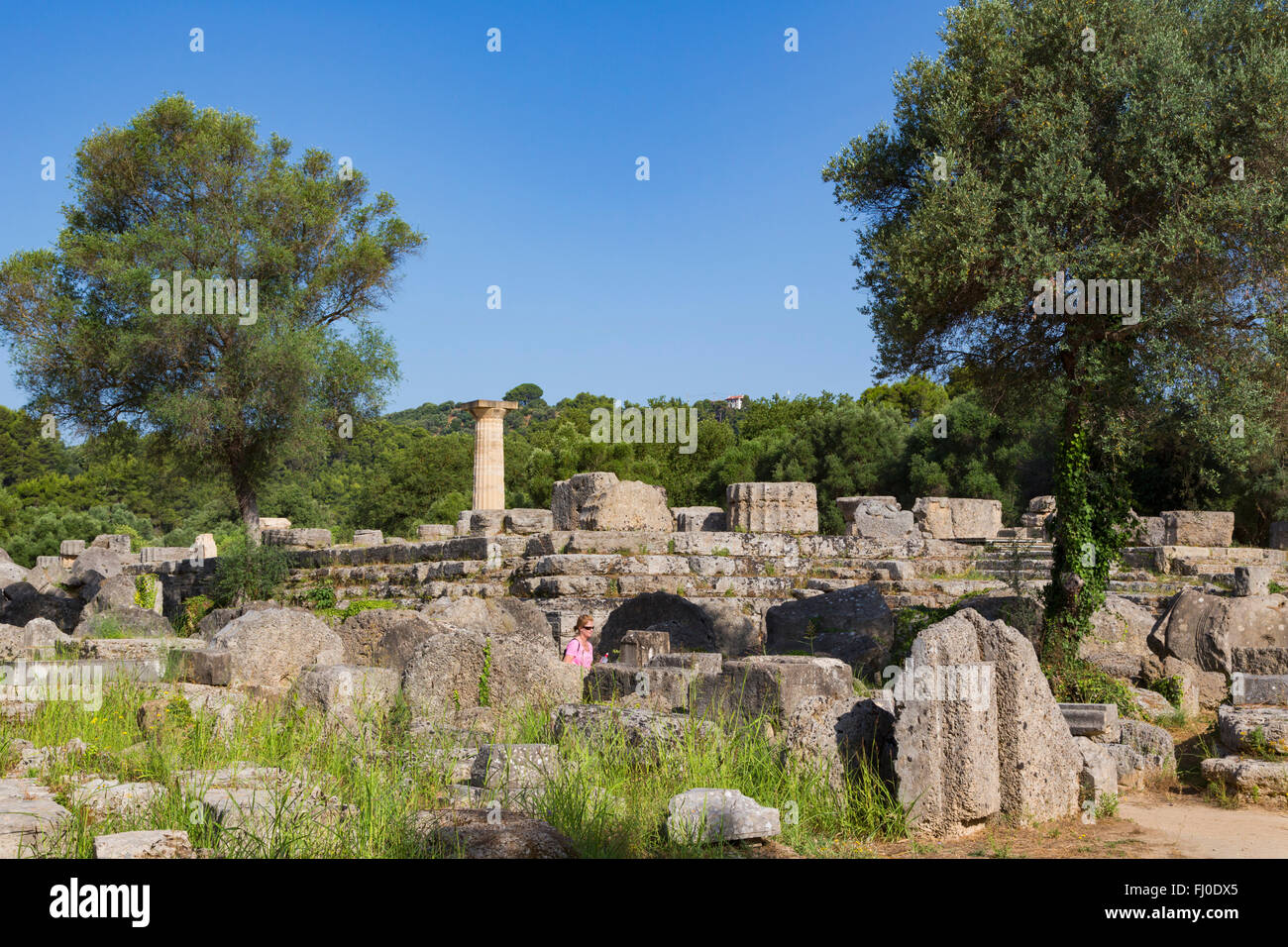 Olympia, Peloponnes, Griechenland.  Das antike Olympia.  Ruinen des 5. Jahrhunderts v. Chr. dorischen Ordnung des Zeustempels. Stockfoto