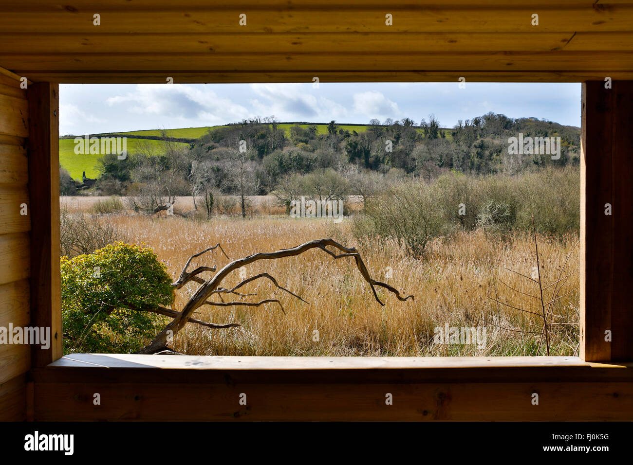 Slapton Ley; Nationalen Naturschutzgebiet; Blick aus einem Versteck; Devon; UK Stockfoto