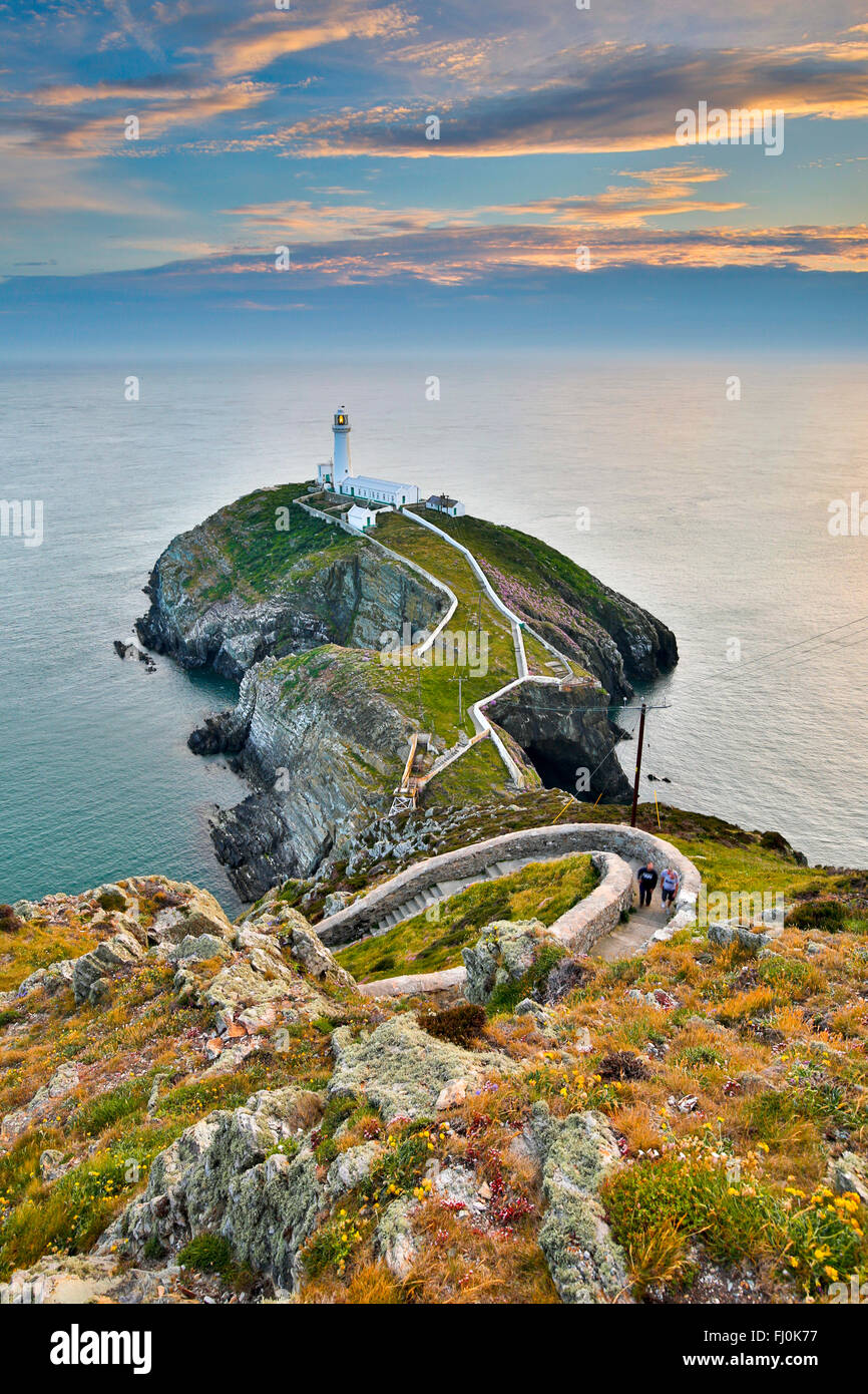 South Stack; Anglesey; Wales; UK Stockfoto