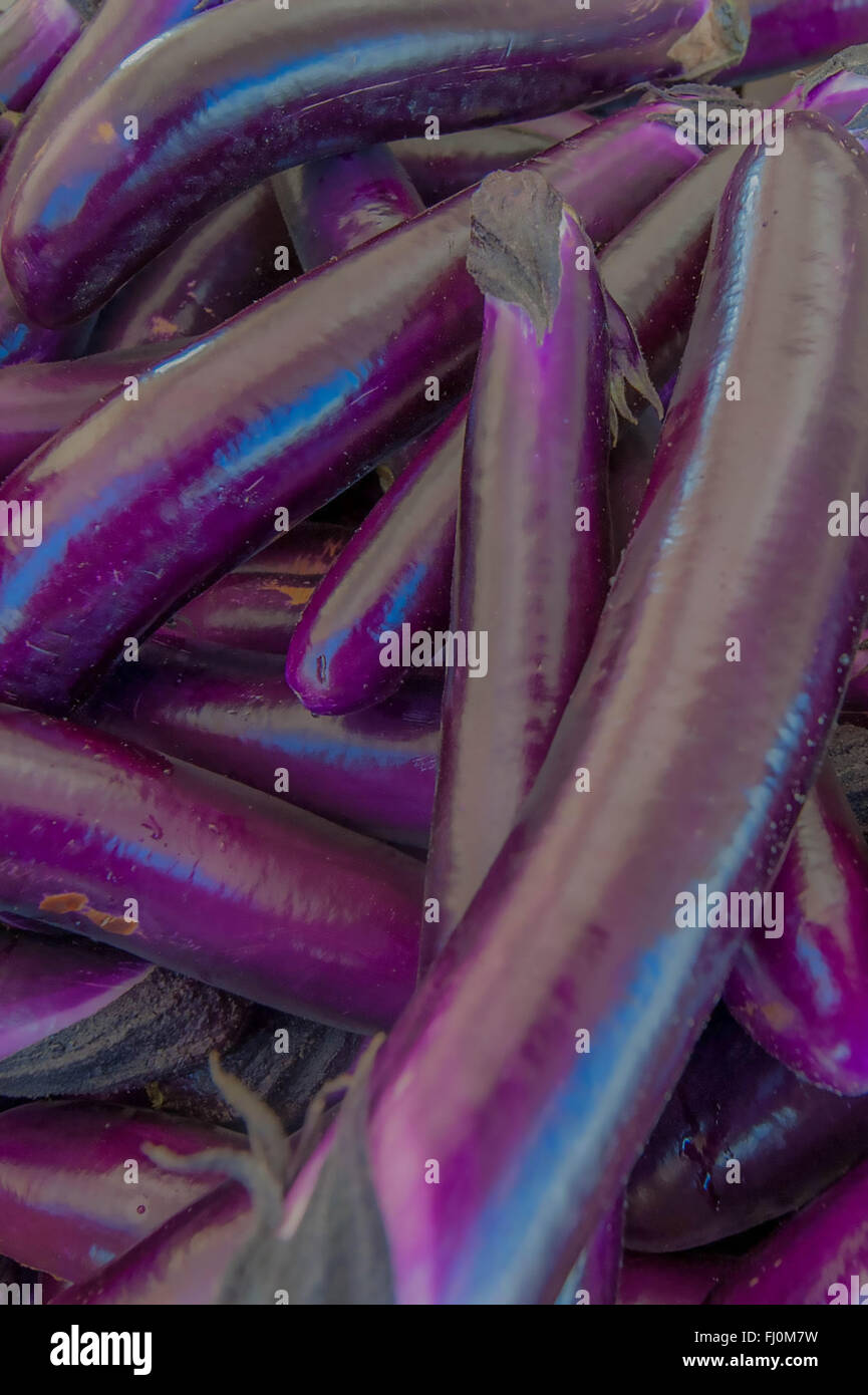 Bauernmarkt - Nahaufnahme von lila brinjal / Aubergine Auf einem lokalen farmstand / Bauernmarkt in Santa Monica California vegan / vegetarische Lebensweise Stockfoto