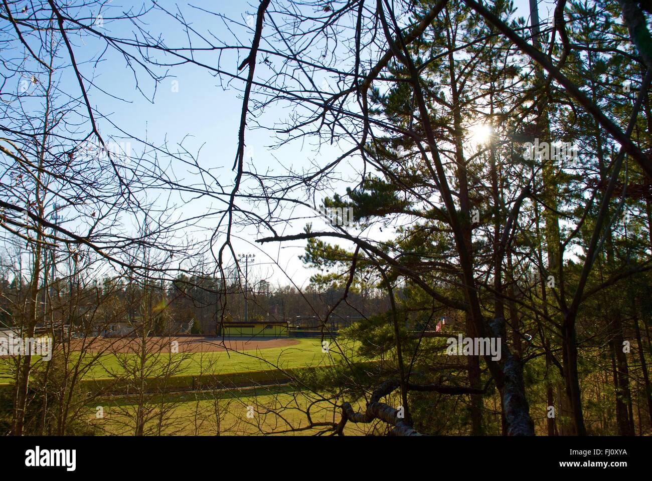 Überblick über ein Softball-Feld aus dem Wald Stockfoto