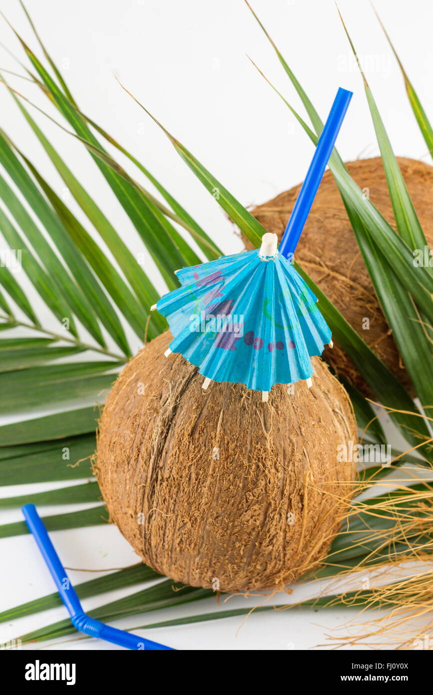 Frische Kokosnuss Cocktails mit cocktail Regenschirm auf Kokosnussblättern platziert Stockfoto