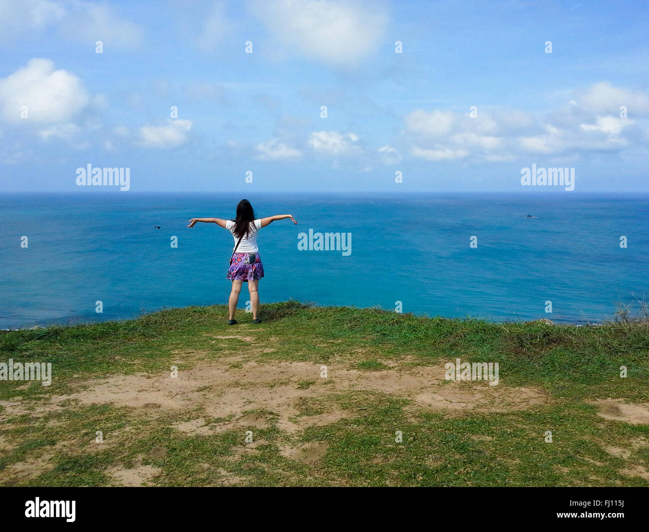 Fliegen vor dem Ozean Stockfoto