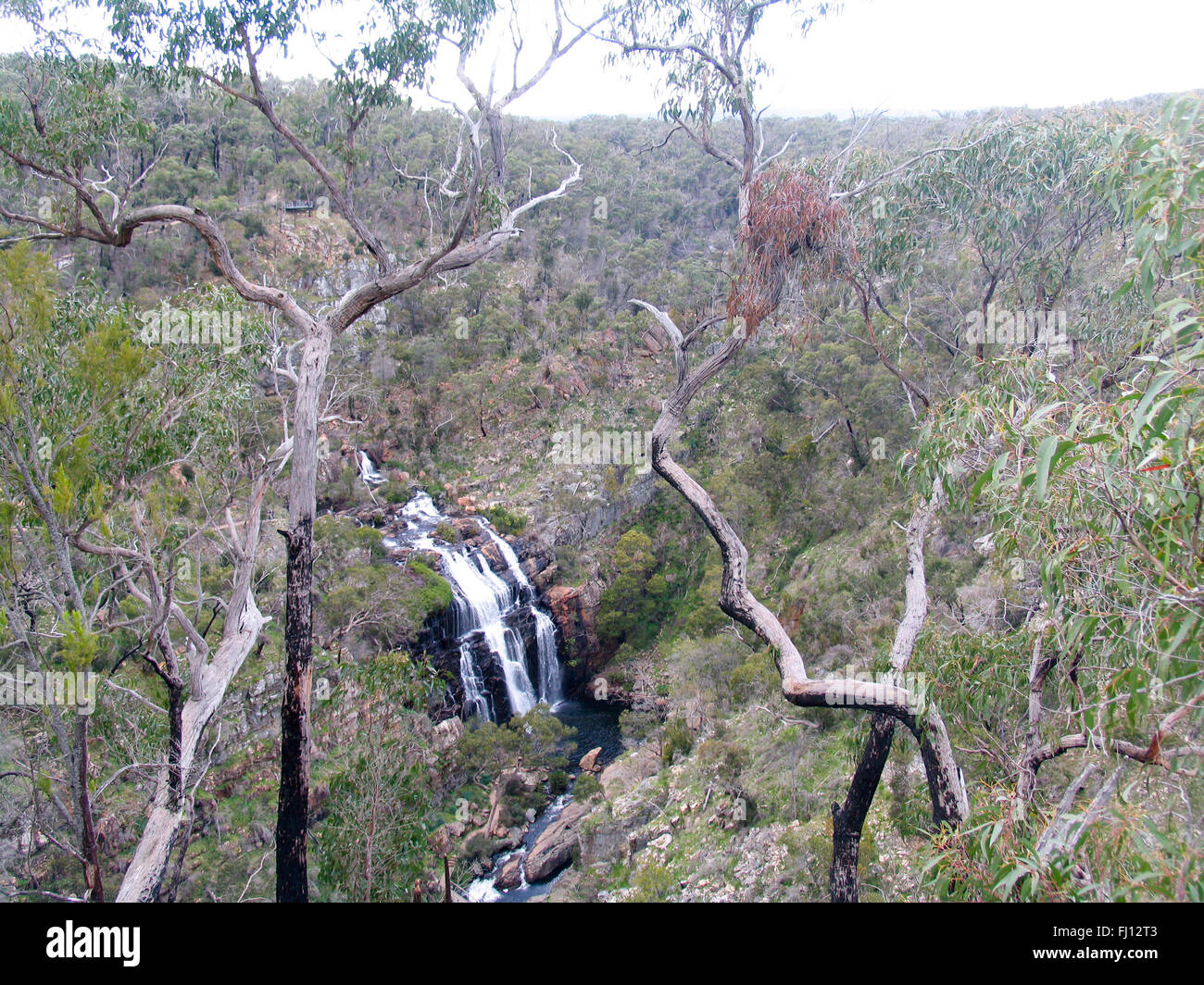 Ein Wasserfall im Grampians National Park. Stockfoto