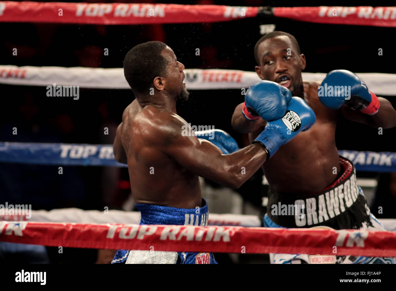 New York, New York, USA. 28. Februar 2016. TERENCE CRAWFORD (blaue und schwarze Stämme) und HENRY LUNDY Schlacht in einem superleichten Kampf im Madison Square Garden in New York City, New York. Bildnachweis: Joel Plummer/ZUMA Draht/Alamy Live-Nachrichten Stockfoto