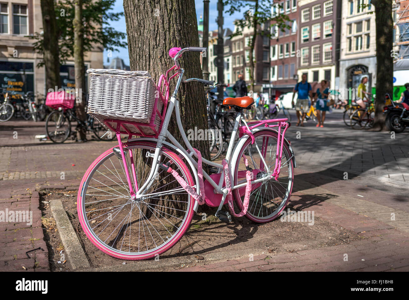 Rosa Fahrrad an einen Baum gelehnt, auf der Straße in Amsterdam, Niederlande. Stockfoto