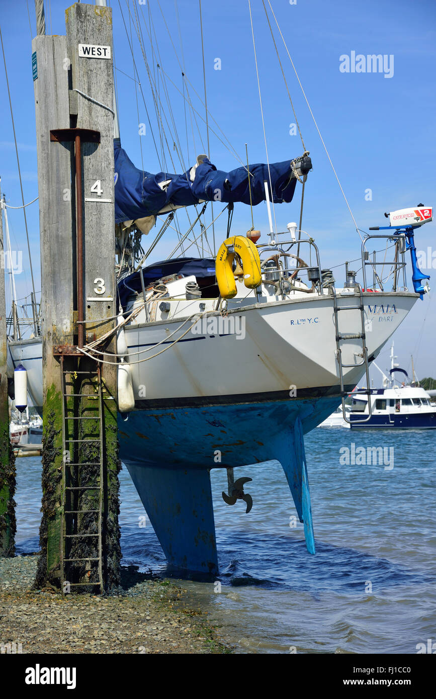 Yachtcharter ausgetrocknet ist, gegen die sich zu scheuern, schrubben Beiträge aus dem Rumpf unter der Wasserlinie dann malen mit Anti-fouling, Itchenor, Chichester Harbour, UK Stockfoto