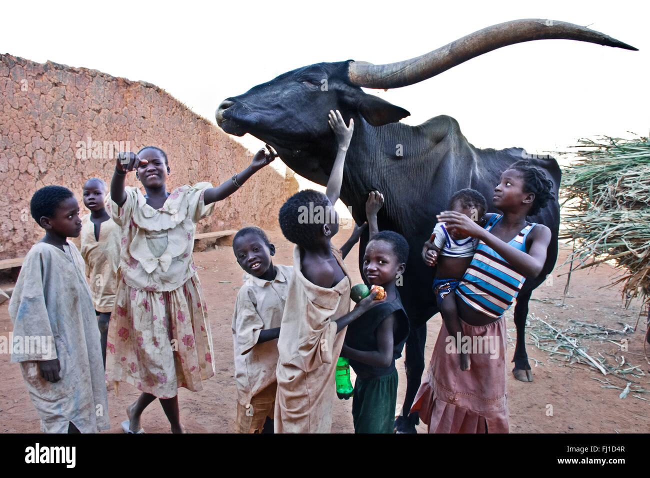 Kinder spielen mit großen schwarzen Stier in den Straßen von Heiligen islamischen Stadt Bani in Burkina Fasi, West Afrika Stockfoto