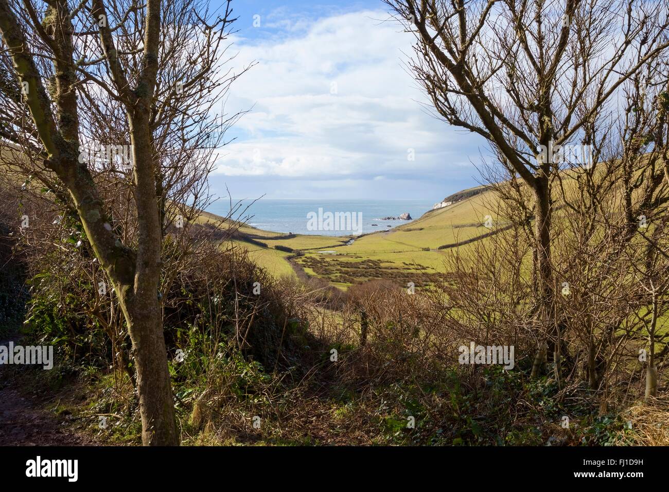 Ayrmer Cove, Devon, England Stockfoto