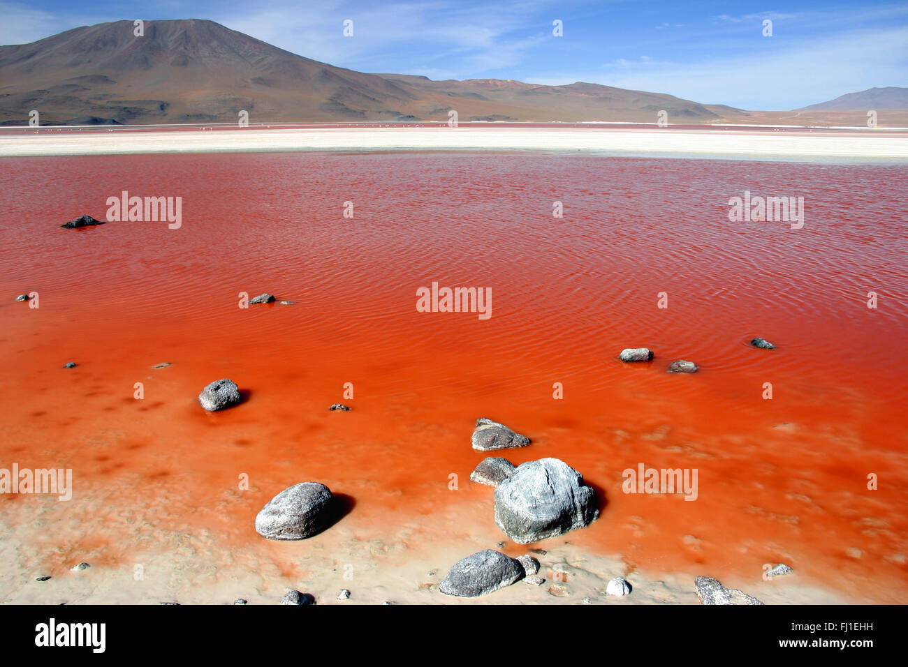 Bolivien Landschaft der Laguna Colorada Stockfoto