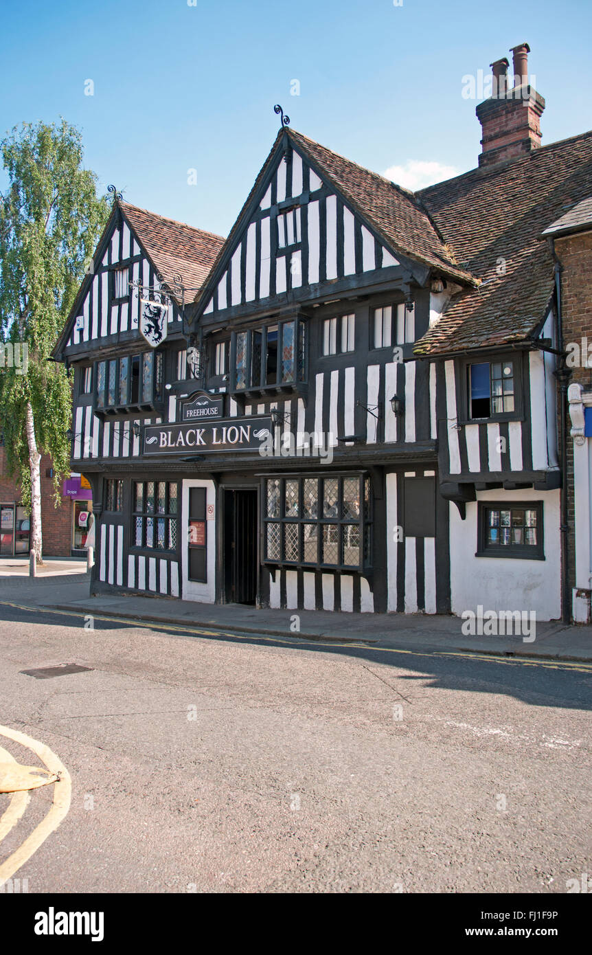 Bishops Stortford, Black Lion Pub, Hertfordshire Stockfoto