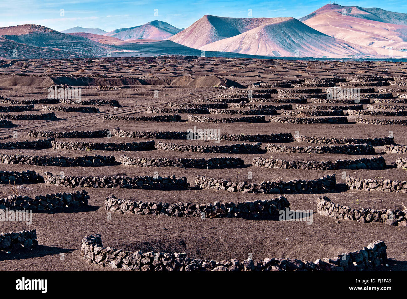 Weinbau-Gebiet La Geria Lanzarote Spanien Stockfoto