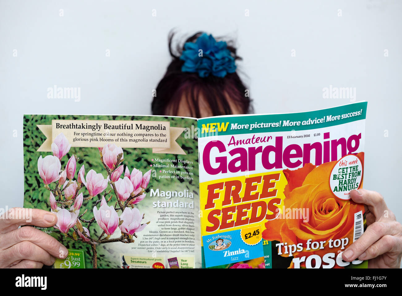 Amateur Gardening-Magazin Stockfoto