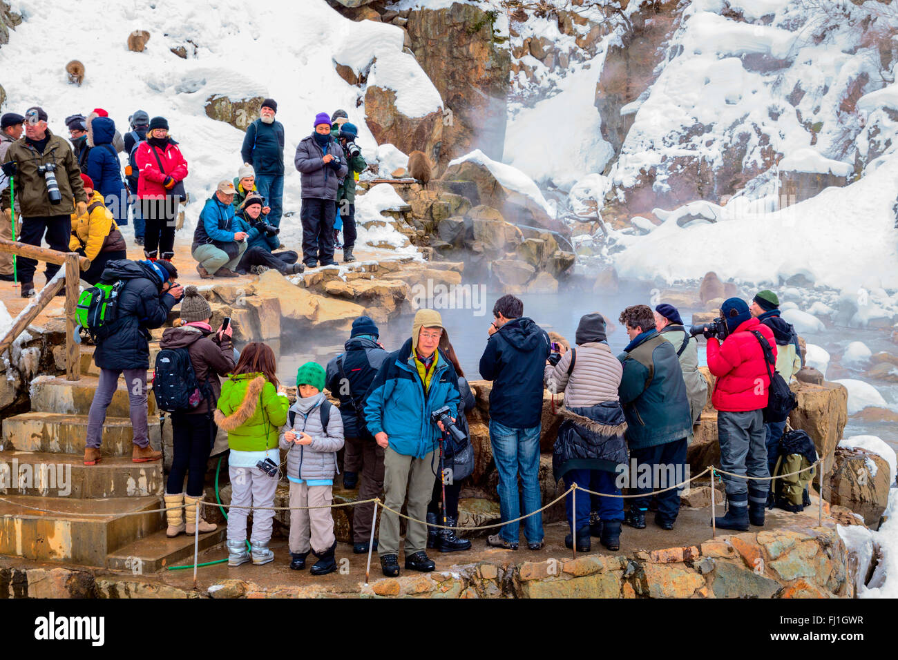 Touristen, die gerade Schneeaffen bei Jigokudani Sprudel, Japan. Stockfoto
