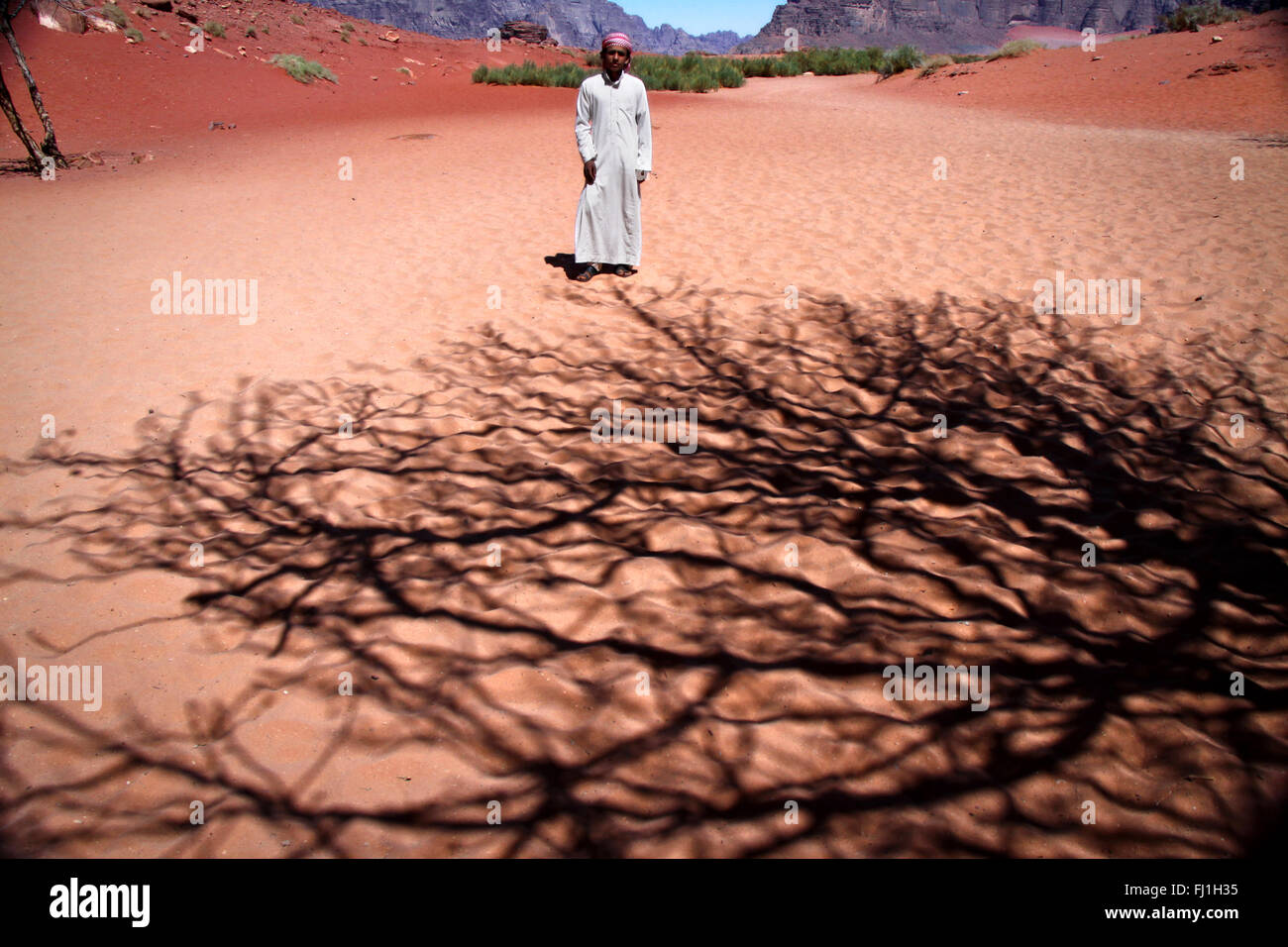 Beduinen Mann und Schatten von einem riesigen Baum - Landschaft von Wadi Rum Wüste, Jordanien Stockfoto