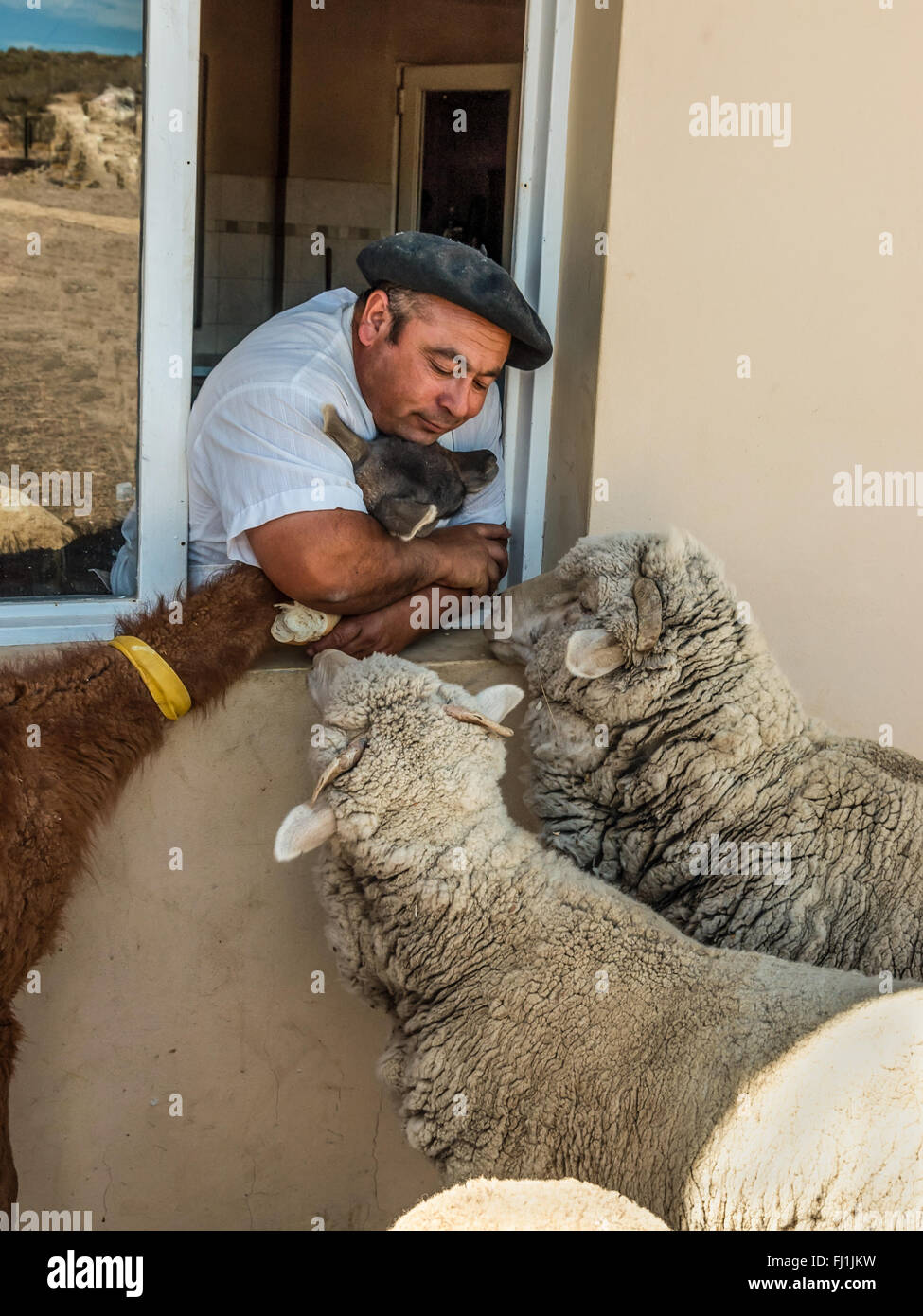 Argentinische Bauern mit ihren Tieren auf dem Bauernhof in der Nähe von Puerto Madryn Stockfoto