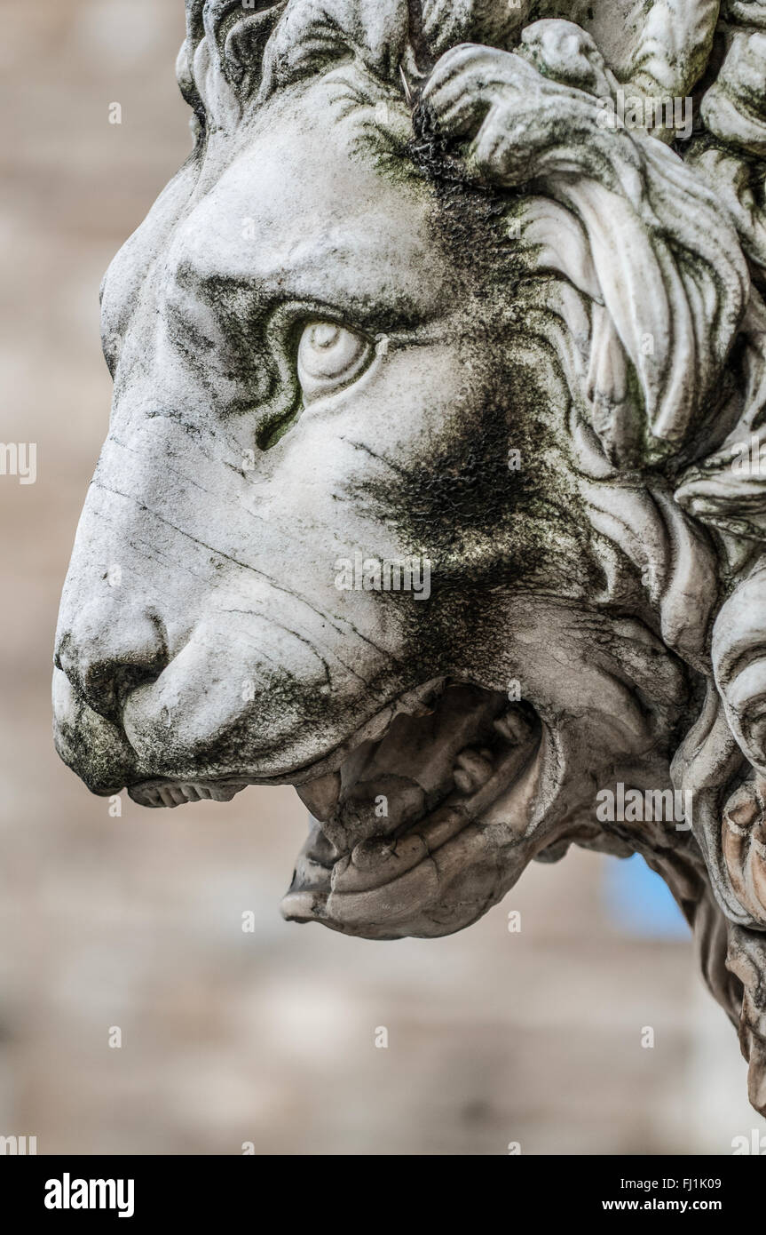 Loggia della Signoria Leone Firenze. Località: Firenze (FI), Italia. | Loggia della Signoria Lion Florenz. Ort: Florenz (FI), Italien. Stockfoto