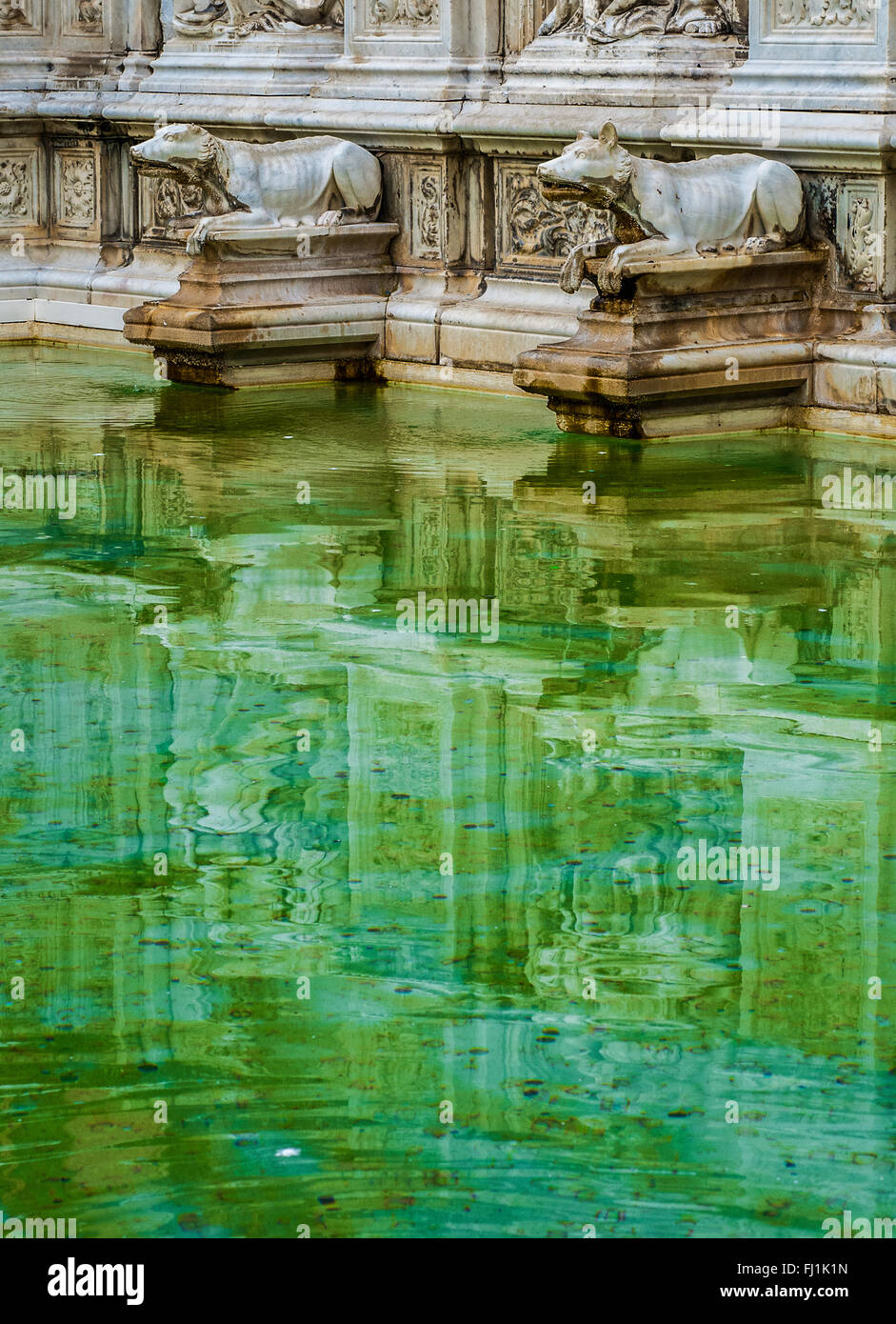 Fonte Gaia. Località: Siena (SI), Italia. | Fonte Gaia. Lokalität: Siena (SI), Italien. Stockfoto