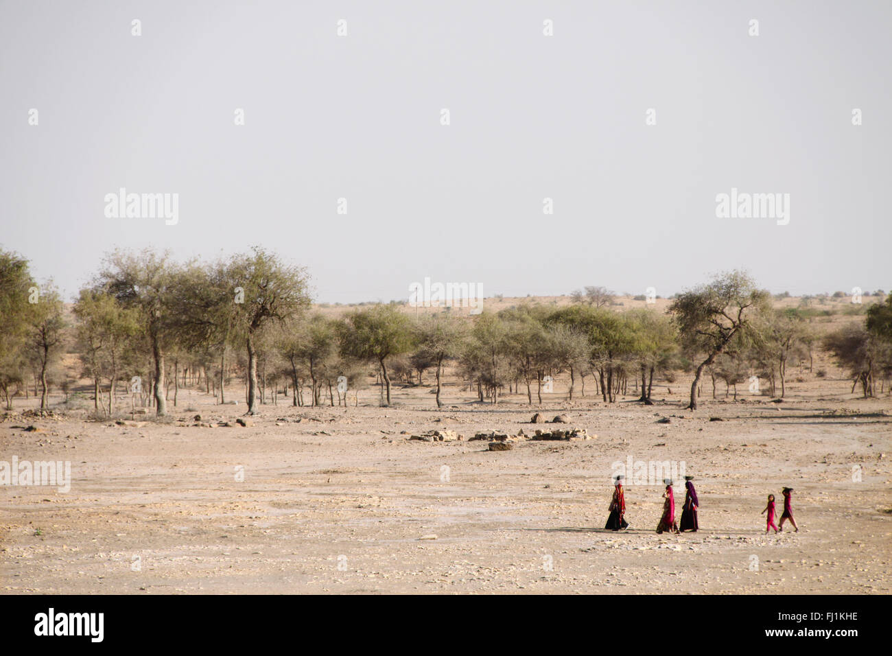 Frauen gehen in der Wüste Thar in der Nähe von Jaisalmer, Indien Stockfoto