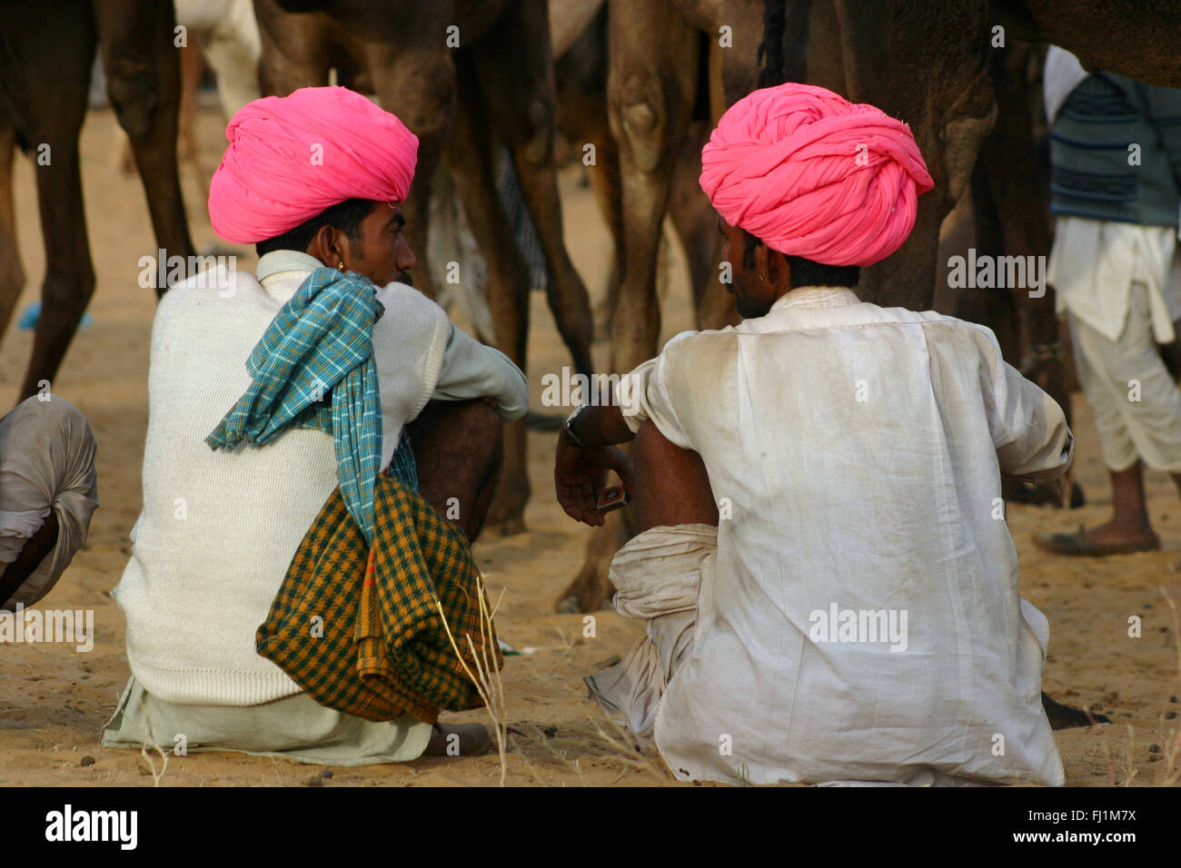 Rajasthani Männer mit pink Turban sprechen Sie während Pushkar camel fair, Indien Stockfoto