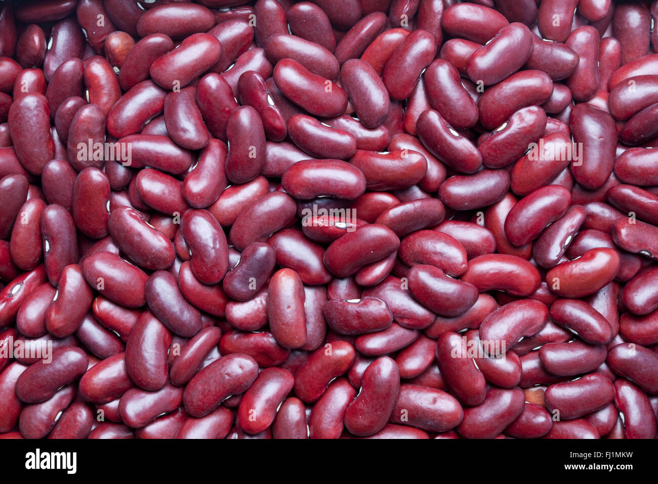 Full-Frame-rote Kidney-Bohnen Stockfoto